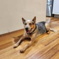 Photo of Ralf