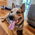 Photo of Ralf