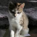 Photo of Lilliana 