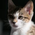 Photo of Lilliana 