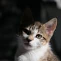 Photo of Lilliana 