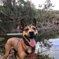 Photo of Mishka
