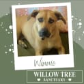 Photo of Winnie