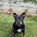 Photo of Reign 