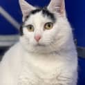 Photo of Ms Nugget