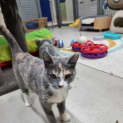 Photo of Zelda