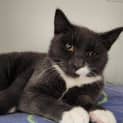 Photo of Dunstan