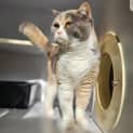 Photo of Shelby Ann