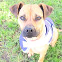 Photo of Roxanne