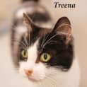 Photo of Treena