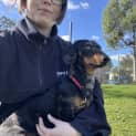 Photo of Snickers