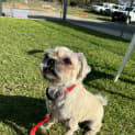 Photo of Teddy