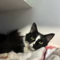 Photo of Sylvia