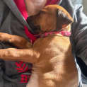 Photo of Rubz