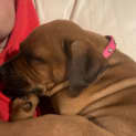 Photo of Rubz