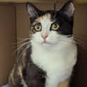 Photo of Luna