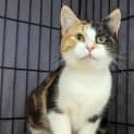 Photo of Mabel