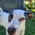 Photo of Riri