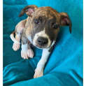Photo of Roly