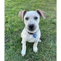 Photo of Winnie