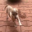 Photo of Squirt