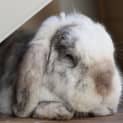 Photo of Max