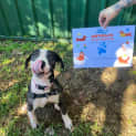 Photo of Missy Moo
