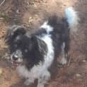 Photo of Bob
