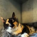Photo of Matilda