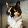 Photo of Matilda