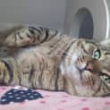 Photo of Otis