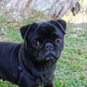 Photo of Lulu