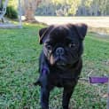 Photo of Lulu