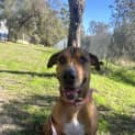 Photo of Jethro