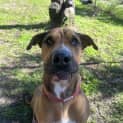 Photo of Jethro