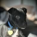 Photo of Bibbly