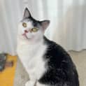 Photo of Spotty