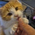 Photo of Teeny Fey
