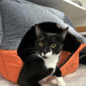 Photo of Lui