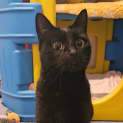 Photo of Klaus