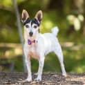 Photo of Molly