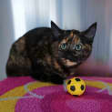 Photo of Elsie