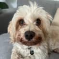 Photo of Lenni