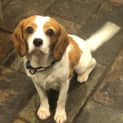 Photo of Ellie