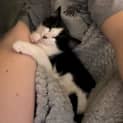 Photo of Maeve