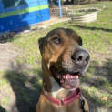 Photo of Jethro