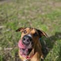 Photo of Jethro