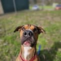 Photo of Jethro