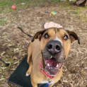 Photo of Jethro