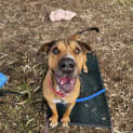 Photo of Jethro